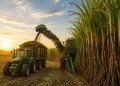 StoneX reduz moagem de cana em 2026/27, mas prevê safra recorde em 2027/28