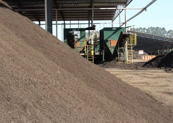 Interesse no mercado de biofertilizantes cresce, mas custo alto é desafio