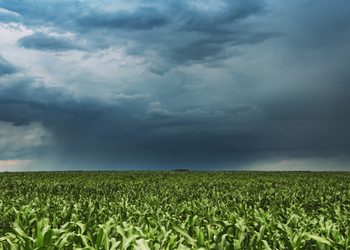 El Niño exige atenção ao planejamento financeiro para a safra 2026/27