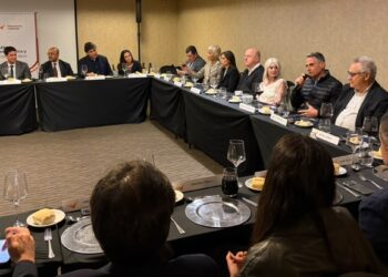 Brasil apresenta case de bioeletricidade e aponta oportunidades para usinas de Tucumán
