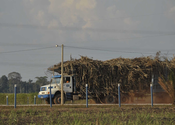 TST afasta responsabilidade de usina em acidente com empregado de transportadora de cana