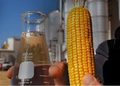 Mato Grosso deve produzir 61% de todo o etanol de milho do Brasil