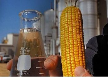 Mato Grosso deve produzir 61% de todo o etanol de milho do Brasil