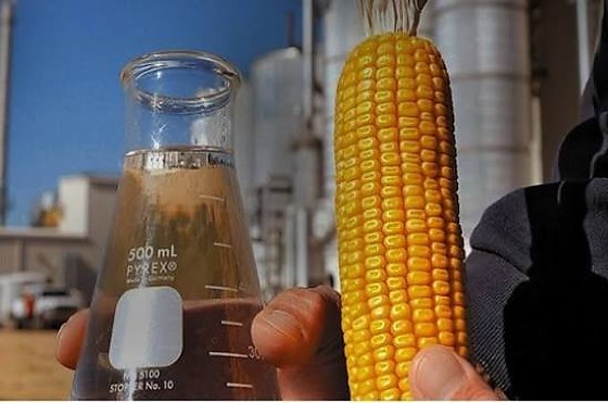 Mato Grosso deve produzir 61% do etanol de milho do Brasil até 2027