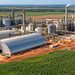 Usina São Martinho inicia expansão bilionária de R$ 1,1 bi em Goiás para produzir mais 270 milhões de litros de etanol de milho por ano